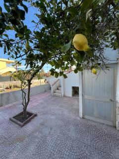 Sea&Sun 400metri dal mare - 3