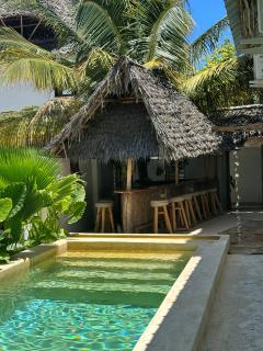 Mlango Paje Villa Boutique - Paje - 9