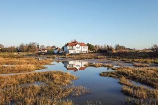 Snow Goose - Bosham - 0