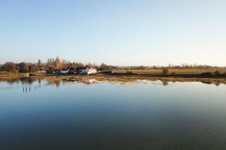 Snow Goose - Bosham - 4