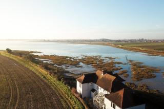 Snow Goose - Bosham - 3