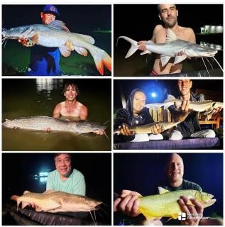 Chaiyaphum Monster Fishing Resort - 1