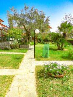 Delmare Manchy's summer oasis - Skála Foúrkas - 5