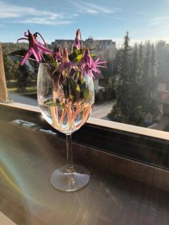 Fiore Apartman - Zlatibor - 8