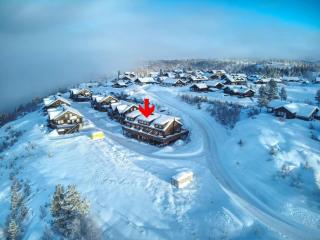 Dobbel Feriehus - Bortelid/Åseral - Tjaldal - 0