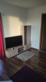 Kleine gemütliche Wohnung - Zwickau - 7