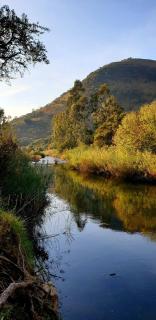 Elangeni Holiday Resort - 1