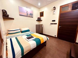 Sumptuous 1BHk Couple friendly - 8