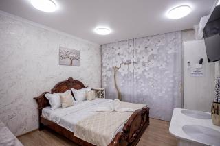 Студия 3 в мини-отеле в центре Алматы - Almaty - 8