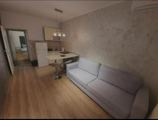 APARTMENT PARK AVENUE - Belgrado - 7