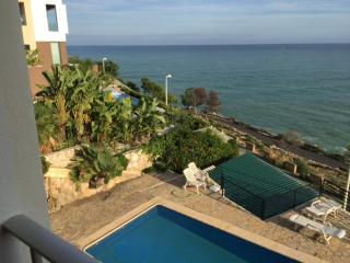 BRASIL FINCAS VAN CAMP - 3