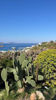 Il Mirto - Ponza - 5
