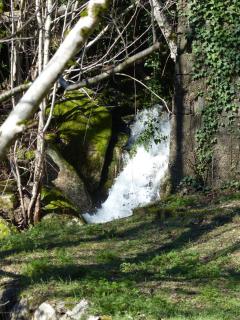 Le Murmure des Cèdres - Gîte en Cévennes - Saint-André-de-Majencoules - 7