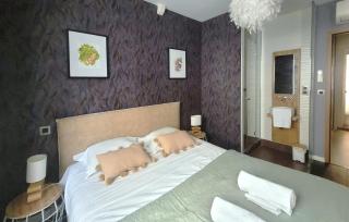 L'Eau Vive Jacuzzi et Sauna en vieille ville 5 - Annecy - 6