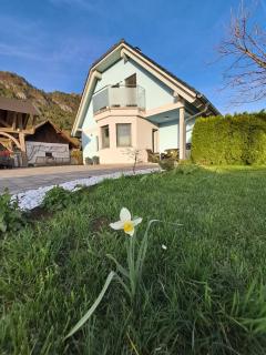 Bella Apartment - Žirovnica - 0