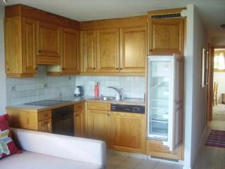 apartment with big garden and stunning view - Chesières - 6
