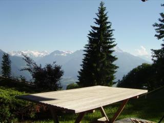 apartment with big garden and stunning view - Chesières - 4