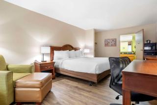 Econo Lodge Moss Point - Pascagoula - 9