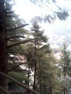 Himalayan Triund Hill View Hostel - 7