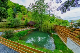 Casa Edelweiss - Baia Mare - 1