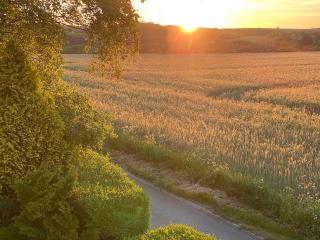 Maytime Cottage - Whitwell - 3