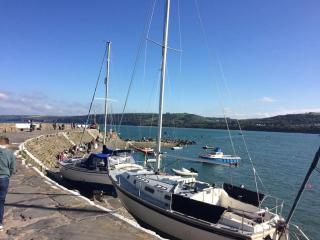 Escape to the Country Bolt Hole Cardigan Bay West Wales - Lampeter - 1