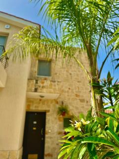 VILLA HERMINE Paphos - Konia - 4