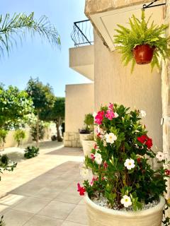 VILLA HERMINE Paphos - Konia - 5