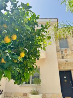 VILLA HERMINE Paphos - Konia - 7