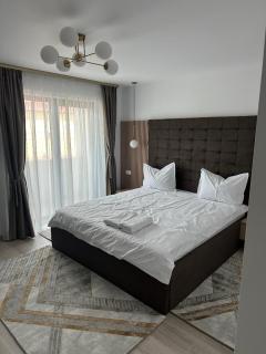 CIU & BIU Apartament - Mioveni - 9