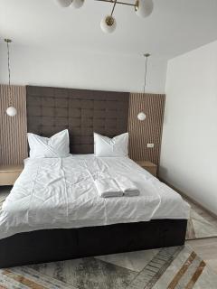 CIU & BIU Apartament - 1
