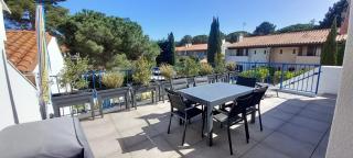 La colombe - Argelès-sur-Mer - 7