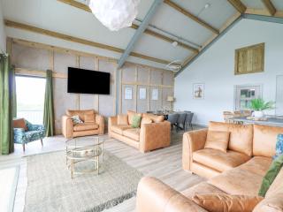 Barcud Coch - Red Kite - 4