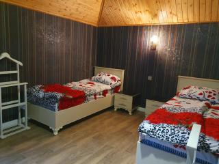 Luxury Forestside Villa - 1