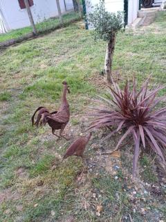Le chant des oiseaux - Cambo-les-Bains - 1