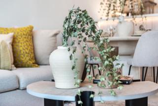 The Smart Concierge - Seven Palm - 4