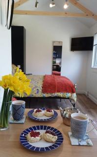 Beautiful Cabin near Padstow - Padstow - 3