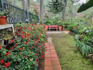 SUNRISE ON HILLS - 3