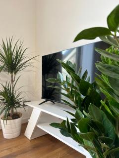 La casa sul tetto - 7