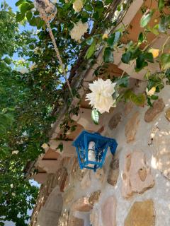 Bed & Breakfast Sole Azzurro - Custonaci - 3