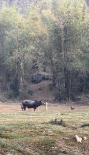 NHÀ CỦA CHI - HOMESTAY FOOD & COFFEE - 3