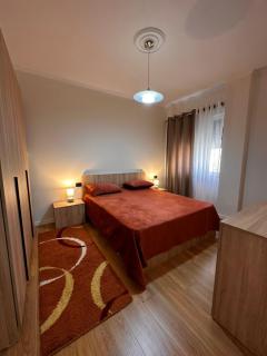 The Magenta - Tirana - 4