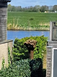 Fries Vakantiehuis, grote tuin, nabij het Pikmeer - 3