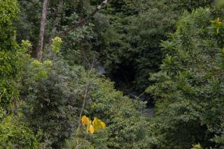 Goa Walet Cottage - 4