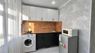 ЧИКЕН Апартаменты 1-ком - Petropavlovsk - 2