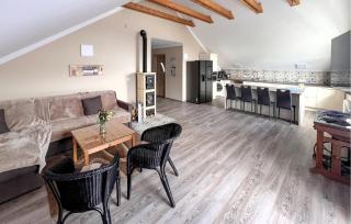 Cozy Apartment In Jelesnia - Jeleśnia - 9