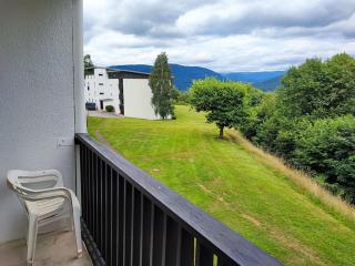 Le Seydrad, appartement vue nature, hauteurs de Gérardmer - Gérardmer - 0