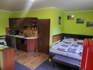 Apartmán Orbit Karlov pod Pradědem - Malá Morávka - 7