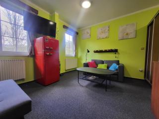 Apartmán Orbit Karlov pod Pradědem - Malá Morávka - 9