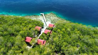 Raja Ampat Blue Sea - Besir - 5